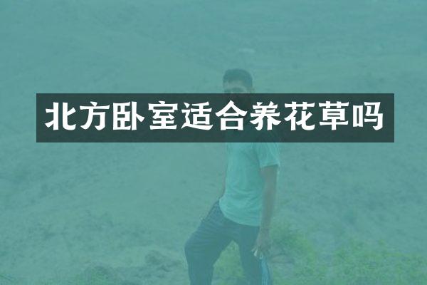 北方卧室适合养花草吗