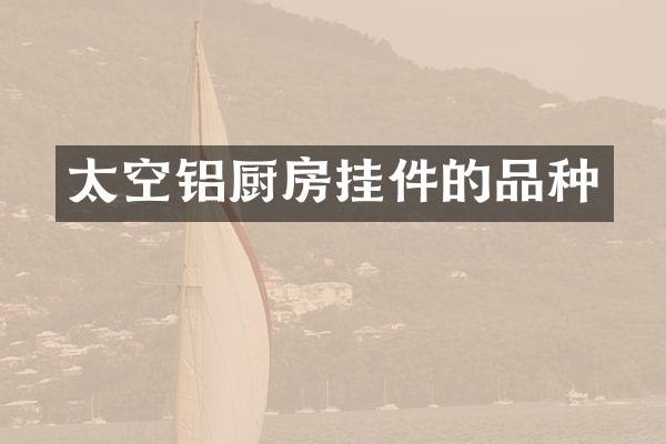 太空铝厨房挂件的品种