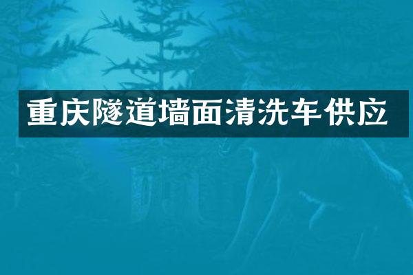 重庆隧道墙面清洗车供应