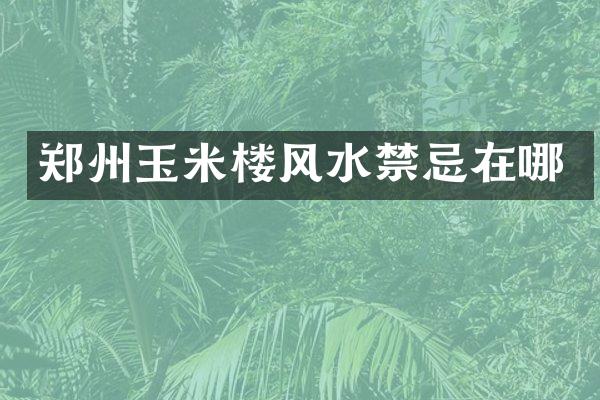 郑州玉米楼风水禁忌在哪