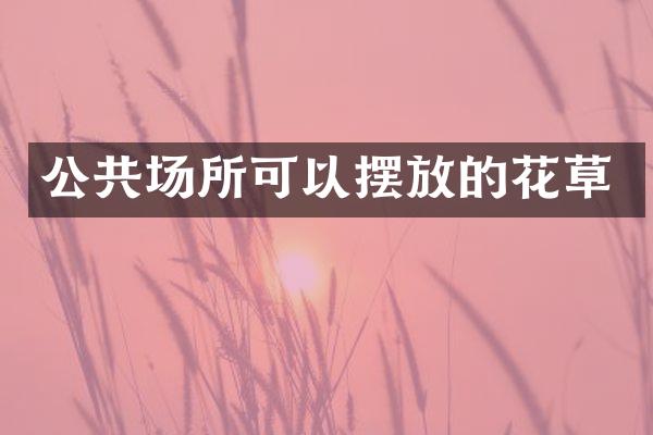 公共场所可以摆放的花草