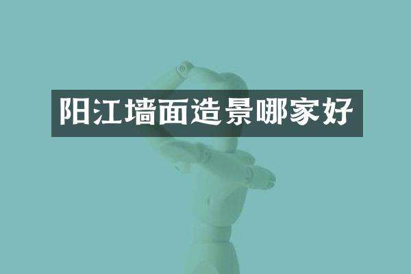 阳江墙面造景哪家好