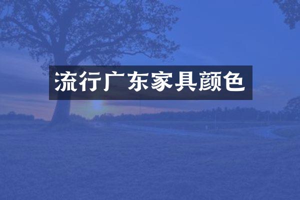 流行广东家具颜色