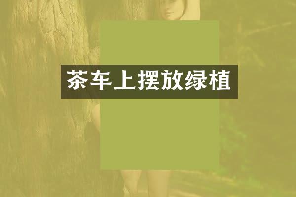 茶车上摆放绿植