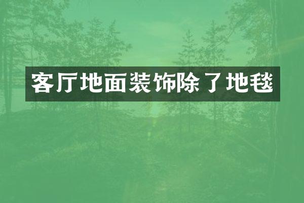 客厅地面装饰除了地毯
