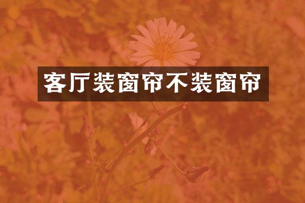 客厅装窗帘不装窗帘