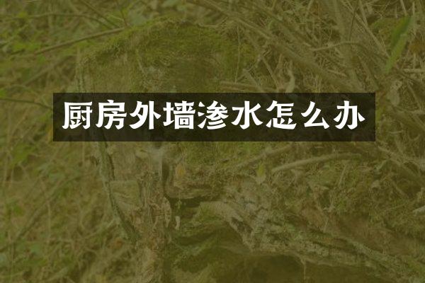 厨房外墙渗水怎么办