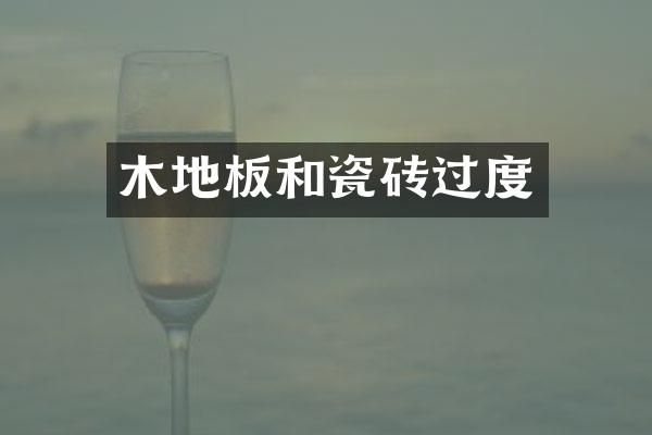 木地板和瓷砖过度