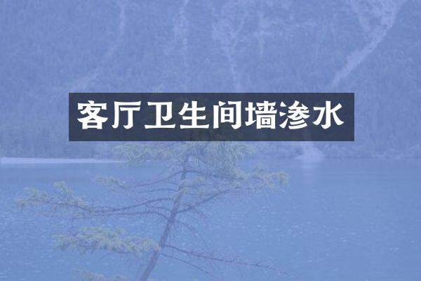 客厅卫生间墙渗水