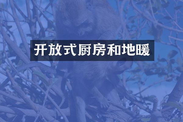 开放式厨房和地暖