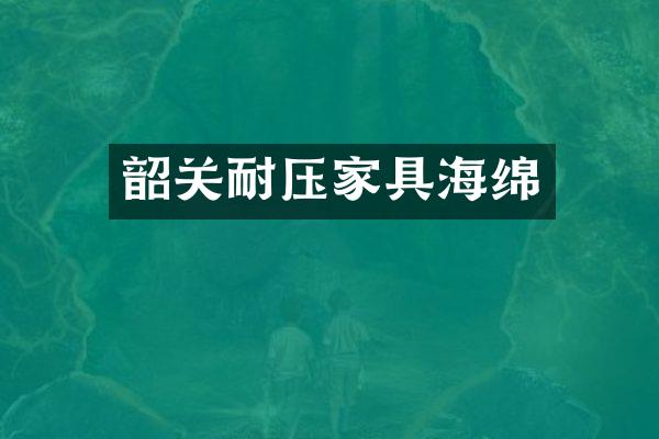 韶关耐压家具海绵