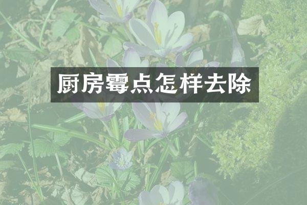 厨房霉点怎样去除