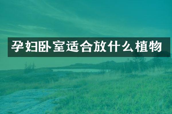 孕妇卧室适合放什么植物