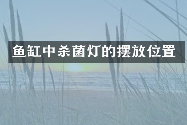 鱼缸中杀菌灯的摆放位置