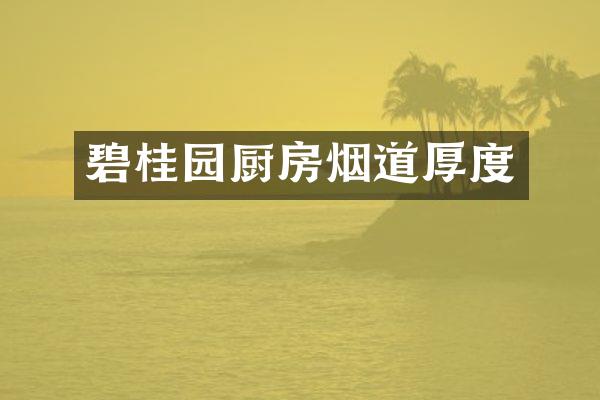 碧桂园厨房烟道厚度