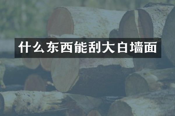 什么东西能刮大白墙面