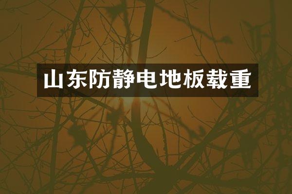 山东防静电地板载重
