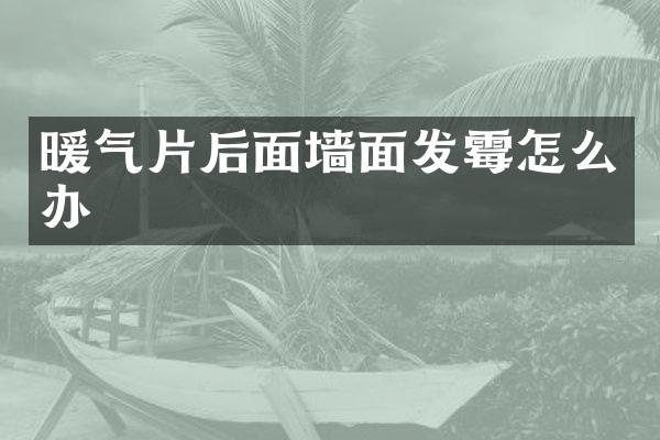 暖气片后面墙面发霉怎么办