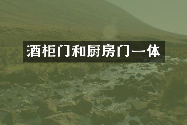 酒柜门和厨房门一体