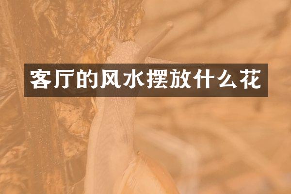 客厅的风水摆放什么花