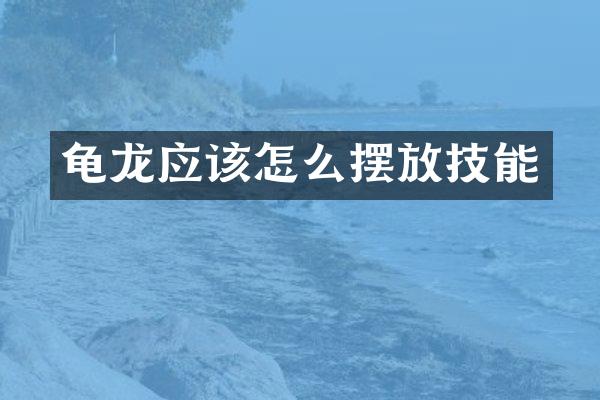 龟龙应该怎么摆放技能
