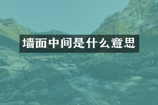 墙面中间是什么意思