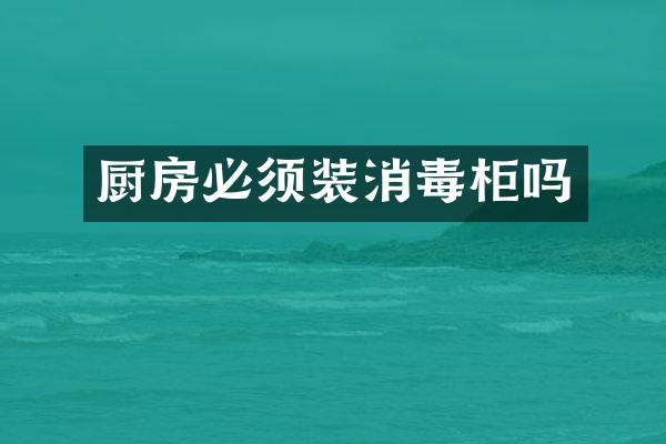 厨房必须装消毒柜吗