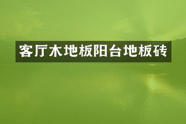 客厅木地板阳台地板砖