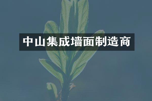 中山集成墙面制造商