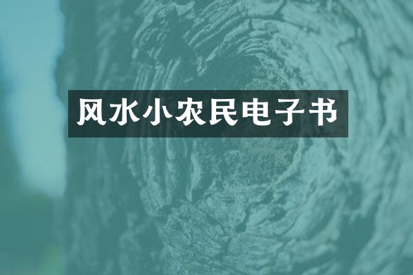 风水小农民电子书