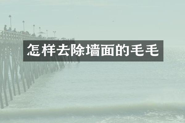 怎样去除墙面的毛毛