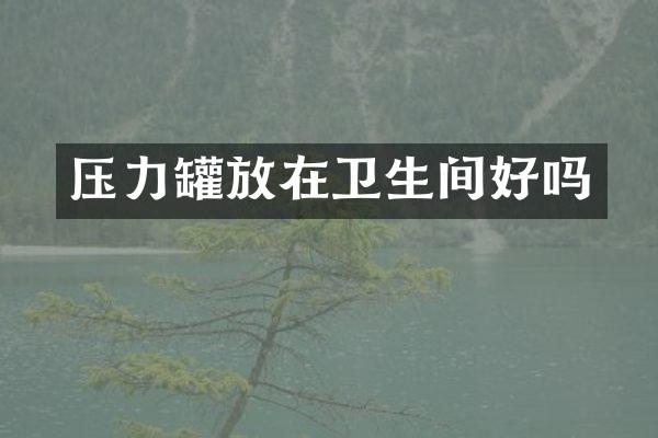 压力罐放在卫生间好吗