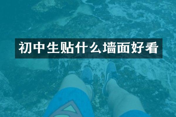 初中生贴什么墙面好看