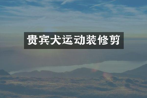 贵宾犬运动装修剪