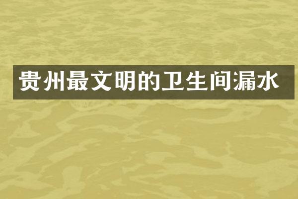 贵州最文明的卫生间漏水