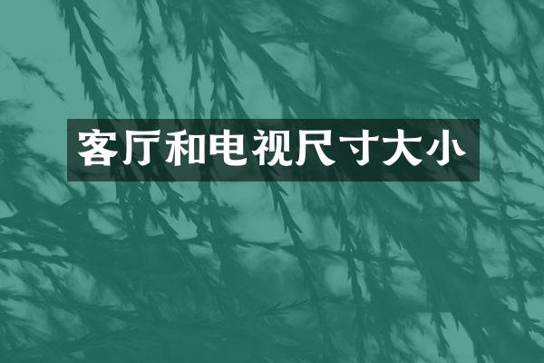 客厅和电视尺寸大小