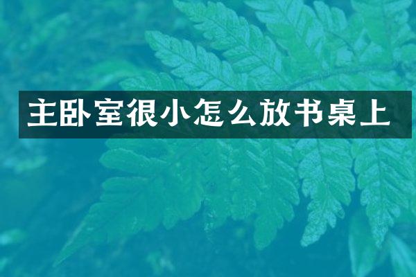 主卧室很小怎么放书桌上