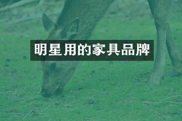明星用的家具品牌