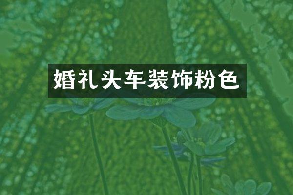 婚礼头车装饰粉色
