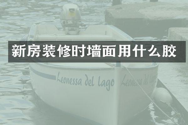 新房装修时墙面用什么胶
