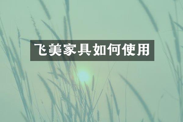 飞美家具如何使用