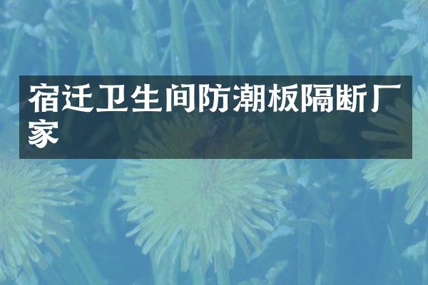 宿迁卫生间防潮板隔断厂家