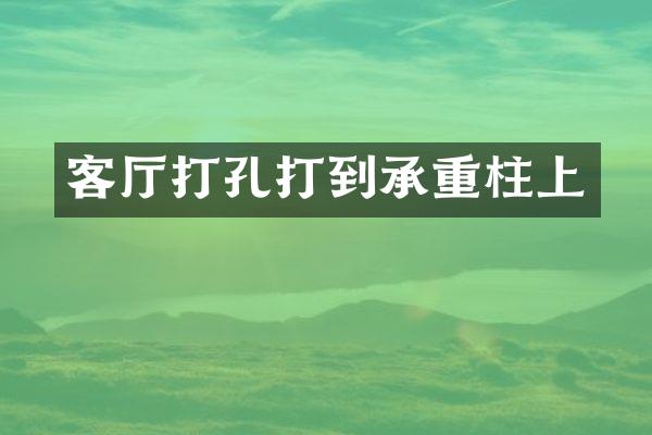 客厅打孔打到承重柱上
