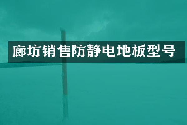 廊坊销售防静电地板型号
