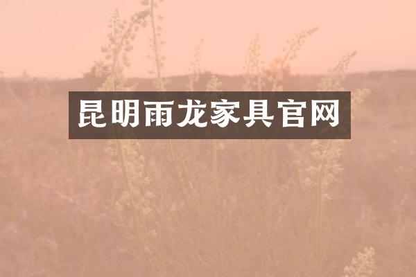 昆明雨龙家具官网