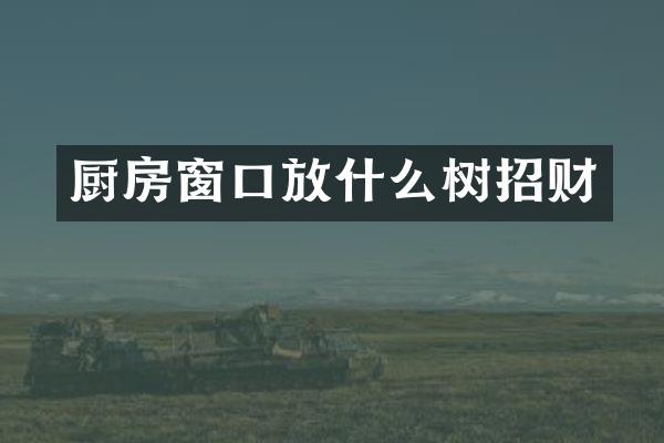 厨房窗口放什么树招财