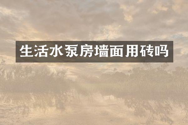 生活水泵房墙面用砖吗