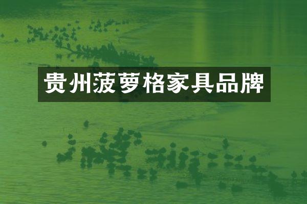 贵州菠萝格家具品牌