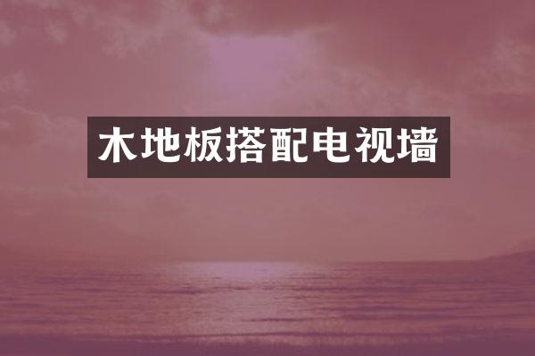 木地板搭配电视墙