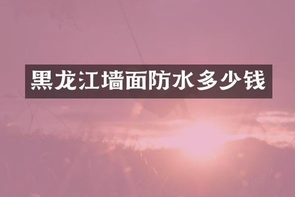 黑龙江墙面防水多少钱